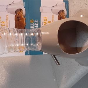 Guinea pig food and water dispenser